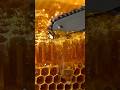 Tiny STIHL Chainsaw Cuts HoneyComb 😱😱 #shorts #shortsfeed #usashorts #minichainsaw