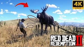 Lasso Gone Wild! All My Hunting Fails & Wins in RDR2