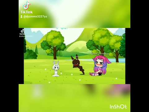 (meme) кролики надеюсь вам понравиться. вилео моё просто из тт