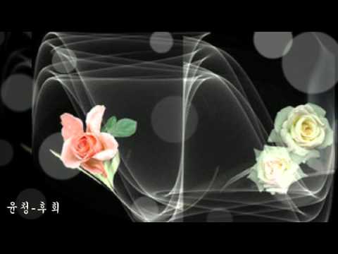 윤청-후회 K-pop