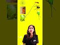 കൂട് കണ്ടെത്തിയാലോ ? #classone
