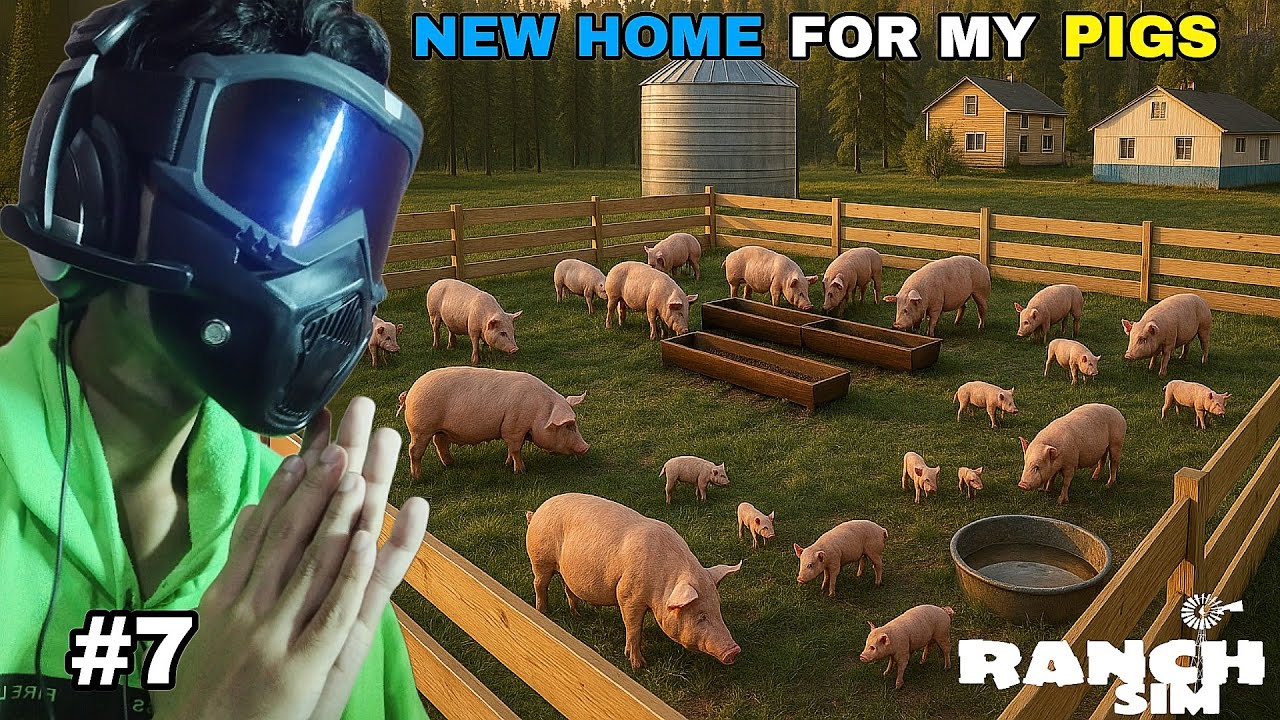 I Built a Pig Pen and Started My Own Pig Farm!