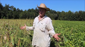 Creating a Duck Hole Pt. 1