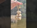 Chacha Seed Pod ASMR 🍃 Crisp Stream Rustle | Natural Healing Bag Charm SYL95396#shorts