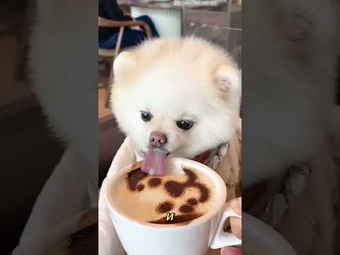 ⁉ВЫ БУДЕТЕ В ШОКЕ КОГДА УЗНАЕТЕ ЧТО ПРОИСХОДИТ С ВАШИМИ ОРГАНАМИ ВО ВРЕМЯ АМЕРИКАНСКИХ ГОРОК ⁉