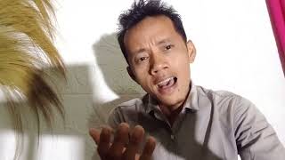 Kamelia-Roma Iramacover Iwansyah Channel