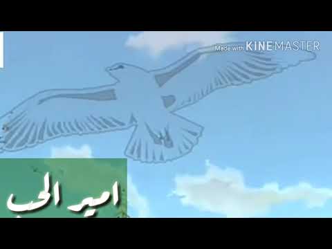 موسيقى مسلسل الطير سعادة وفرح