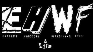 A Look at the 11 TNA Departures DLo Brown Comments on Departure