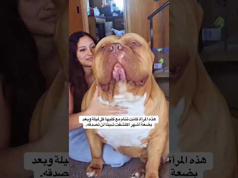 هذه المرأة كانت تنام مع كلبها كل ليلة وبعد بضعة أشهر اكتشفت شيئا غريبا ماوراءيات قصص رفيوهات