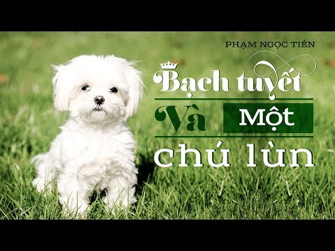 Bạch Tuyết và một chú lùn | Phạm Ngọc Tiến | VTC NOW Truyện hay