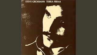 Video thumbnail of "Steve Grossman - Relentless Lady"