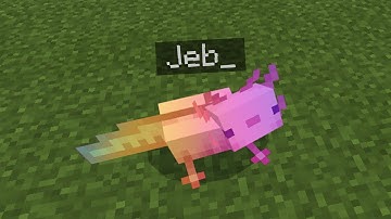 I named an axolotl jeb in Minecraft