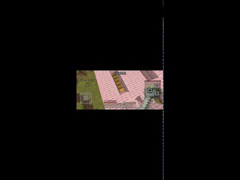 playing Minecraft iros smp