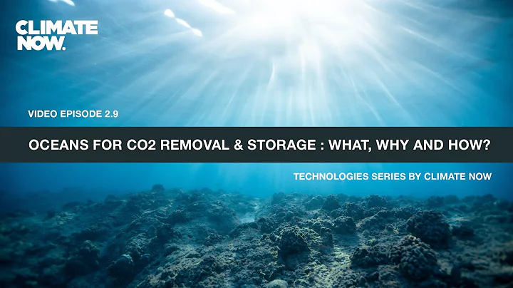 How Oceans Could Remove More Carbon Dioxide | Climate Now Ep. 2.9