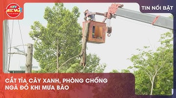 CẮT TỈA CÂY XANH, PHÒNG CHỐNG NGÃ ĐỔ KHI MƯA BÃO