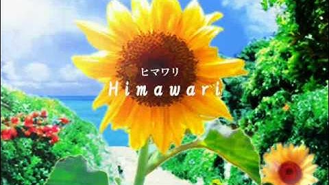 ヒマワリ (Himawari) - Riyu from BeForU