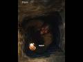 The Enchanted Tree Hole. #movie #film #tvshow #movieclips #horror #thelastofus #netflix