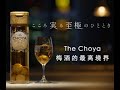 The CHOYA SINGLE YEAR  15Sec Youtube 3