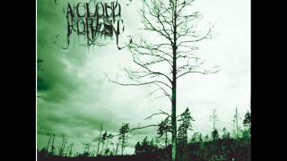 A Cloud Forest - Coronach