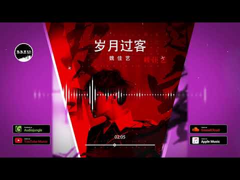 2022華語網絡流行音樂 ||《歲月過客》|| 魏佳藝 || 動態歌詞