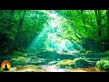 🔴 Relaxing Music 24/7, Healing Music, Meditation Music, Spa Music, Sleep, Zen, Study Music, Yoga