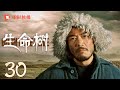 胡歌 Mp3 Mp4 Free download