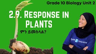 Grade 10 Biology Unit 2: 2.9 Response in Plants Saquama|ሳቋማ