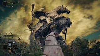 2 Idiots 1 Tree Sentinel