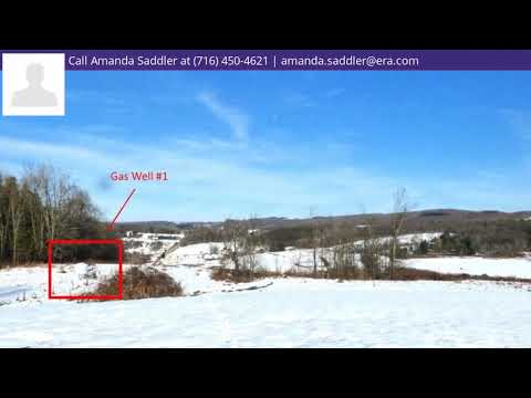 12905 Mud Creek Road, Randolph, NY home video tour