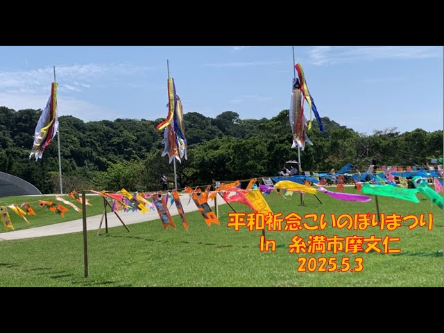 🎏鯉のぼり】村上鯉 旧式八幡太郎鯉のぼり ナイロンゴールド 3mセット