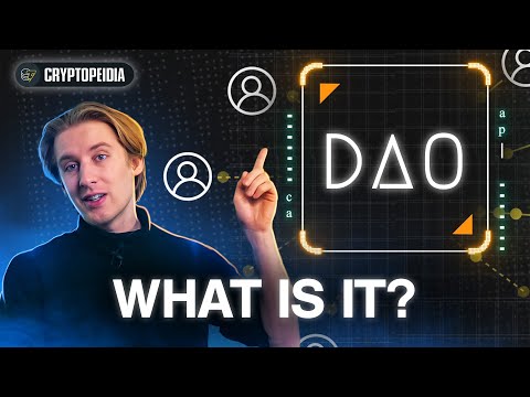 What is a DAO? All you need to know about decentralized autonomous organizations | Cryptopedia