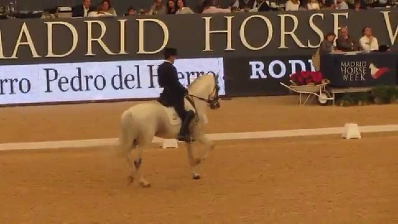 Manuel Veiga & Ben Hur Da Broa FEI Grand Prix CDI3* 71,125%