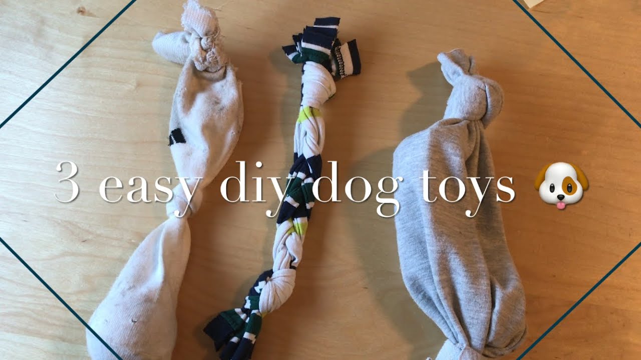 3 easy DIY dog toys you can make in UNDER 15 minutes YouTube