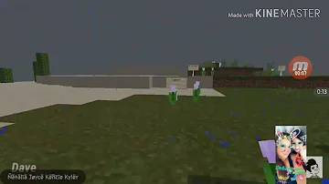 Send this to your sad friend - Wholesome Parrots Dancing - Minecraft