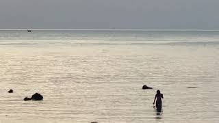 What is tossing fish behind this woman??