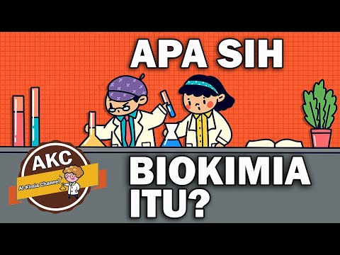 Video: Apa contoh jalur biokimia?