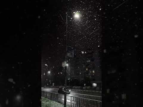 يا ليل عبد الله الجار الله نشيد اناشيد اناشيد بدون ايقاع Trending Trend