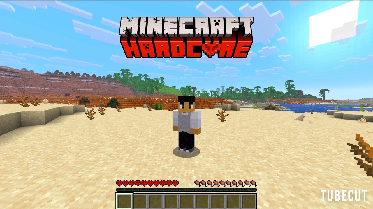 I Played Minecraft Java And Hardcore Mode For The First Time! - YouTube