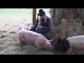 Indraloka animal sanctuary  check it out with chelsea