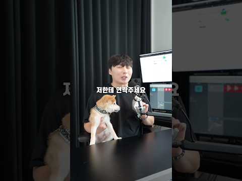 강아지 사료 제조하시는 분 찾습니다 thumbnail