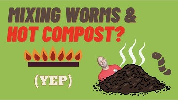 Coffee & Compost: Can I Put Worms In My Hot Compost Pile? (Yes, sort of.)
