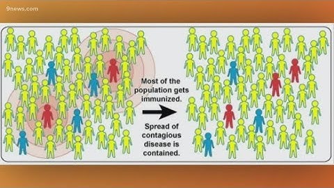 What is herd immunity?