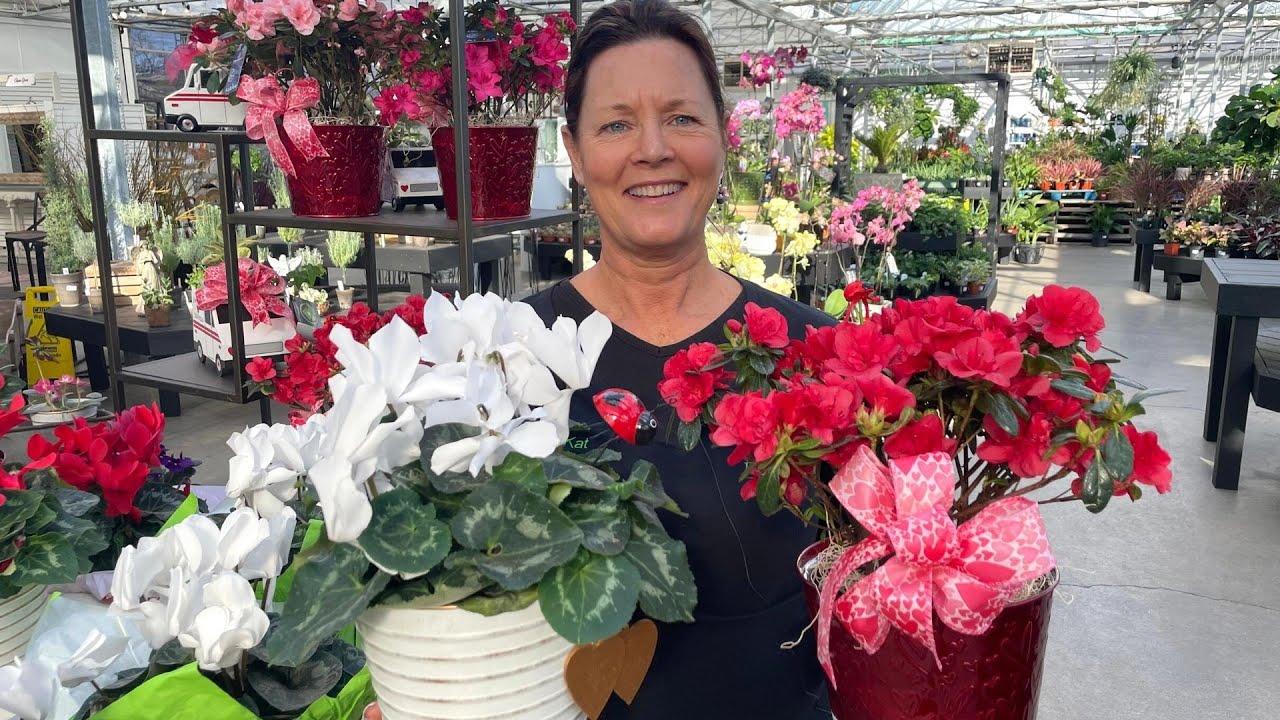 Valentine's Gift Ideas for Plant Lovers