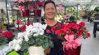Valentine's Gift Ideas for Plant Lovers