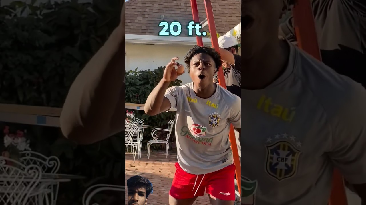 EGG DROP  FROM HEIGHT 