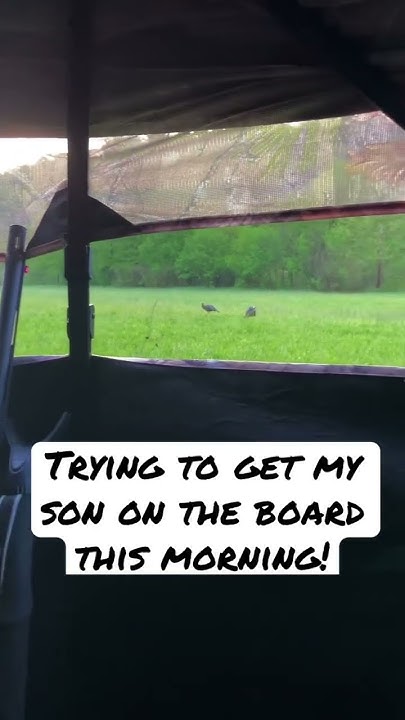short-turkey-hunting-trying-to-get-my-son-his-first-longbeard-of