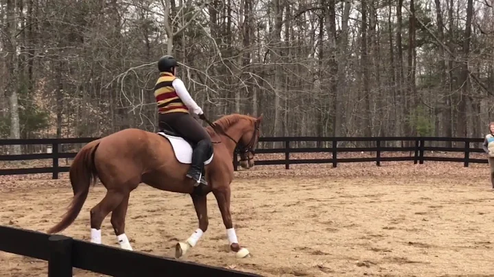 Echo- Debbie Bowman Lesson