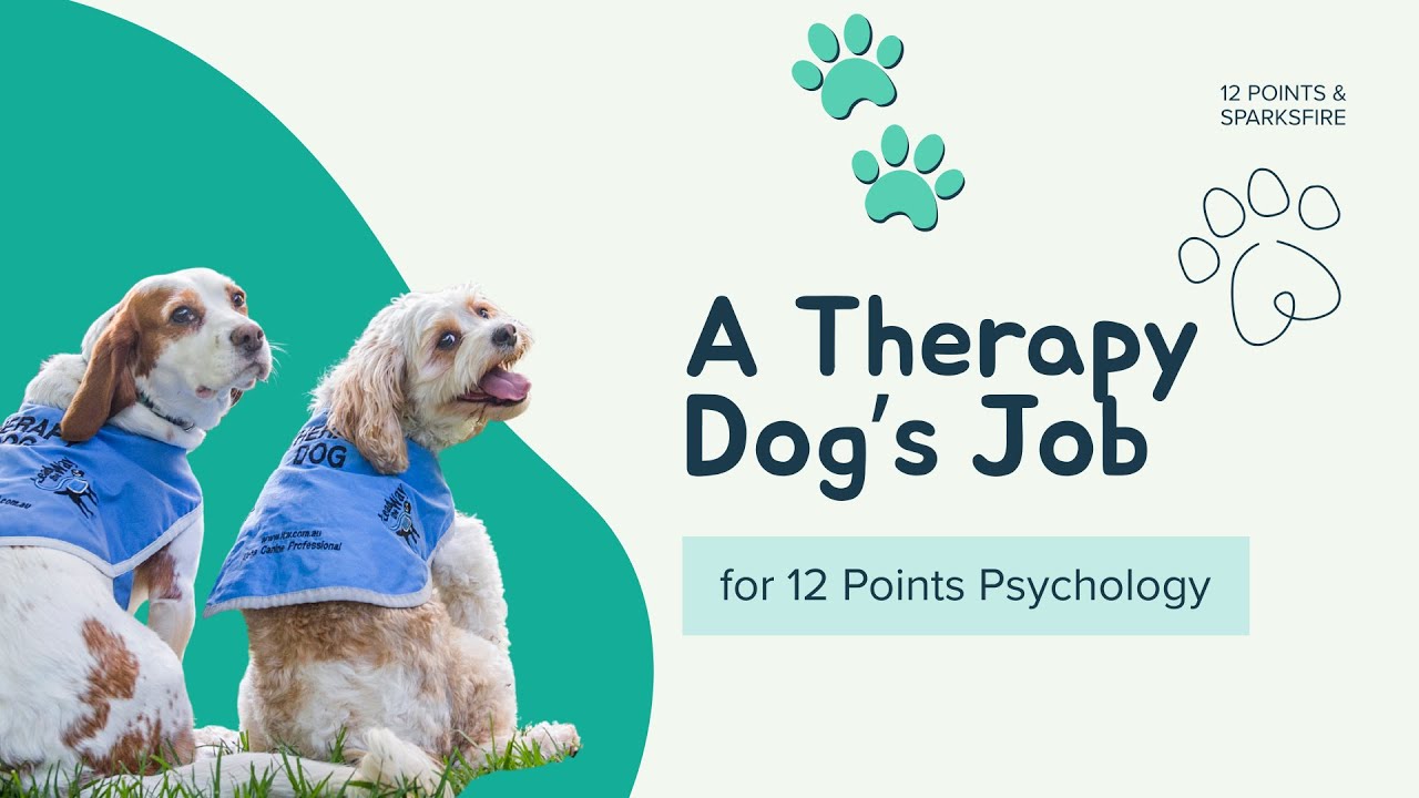 A Therapy Dog's Job – An Original Theme Song by SPARKSFIRE