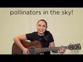 Pollinator Song