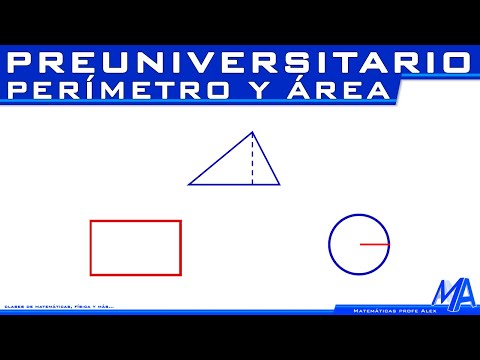 Perímetro y área | Curso preuniversitario